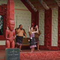 Cultural Performance Waitangi Treaty Grounds