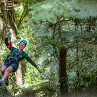 Canopy Tours