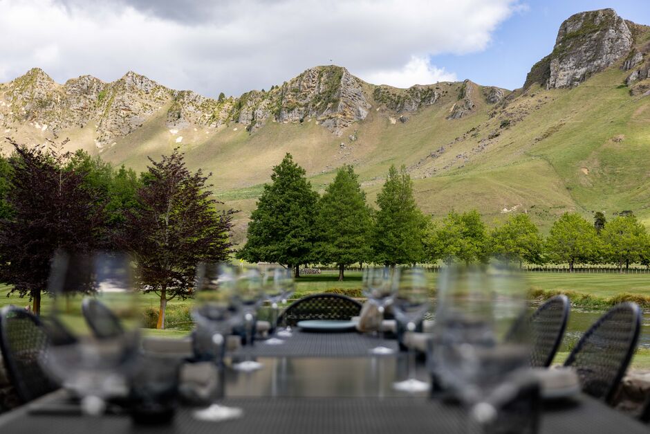 Craggy Range Vineyard