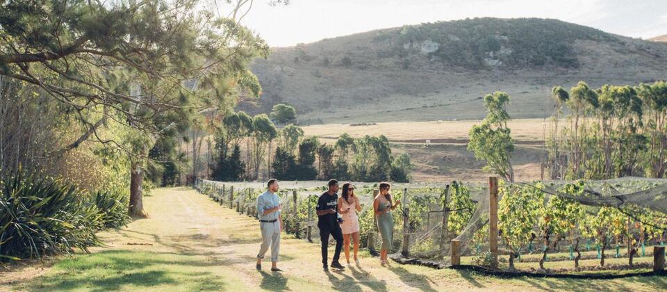 Autumn is a perfect time to visit Waiheke Island