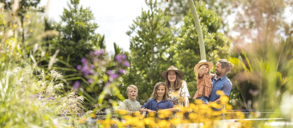 Sculptureum, Matakana