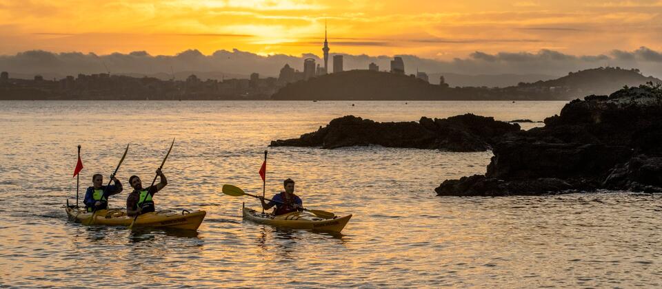 Auckland Sea Kayaks