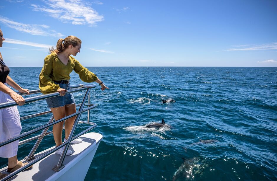 Hauraki Gulf
