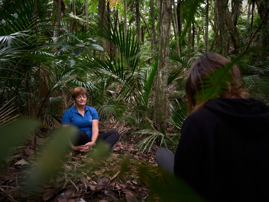 Terra and Tide Northland and Waiheke