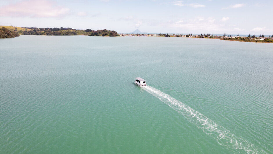 Ōhiwa Harbour Cruises, Bay of Plenty