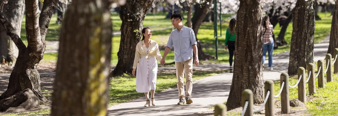 Hagley Park, Christchurch