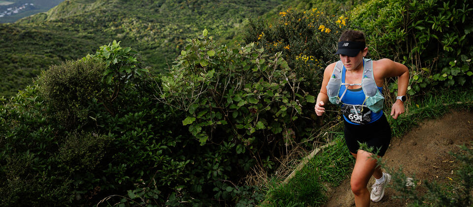 Faultline Ultra, Wellington