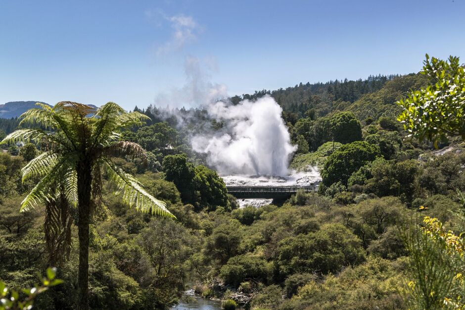 Te Puia, Rotorua