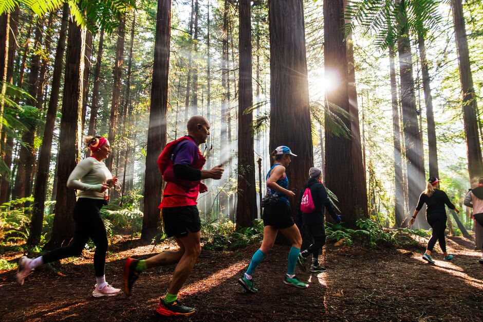Run The Forest, Rotorua