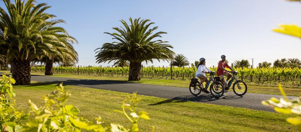 Tākaro Trails Cycle Tours, Hawke's Bay