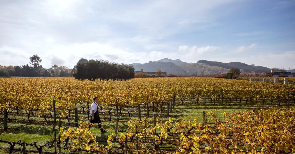 Te MatauaMāui Hawke's Bay, a Great Wine Capital of the World Travel