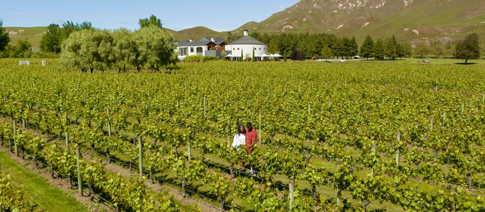 Craggy Range Winery, Hawke's Bay