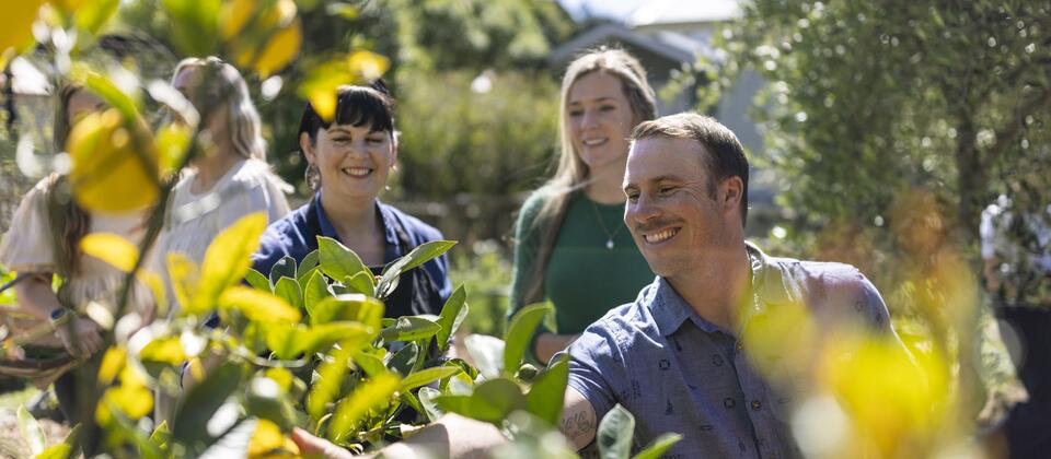 Farm to table experiences