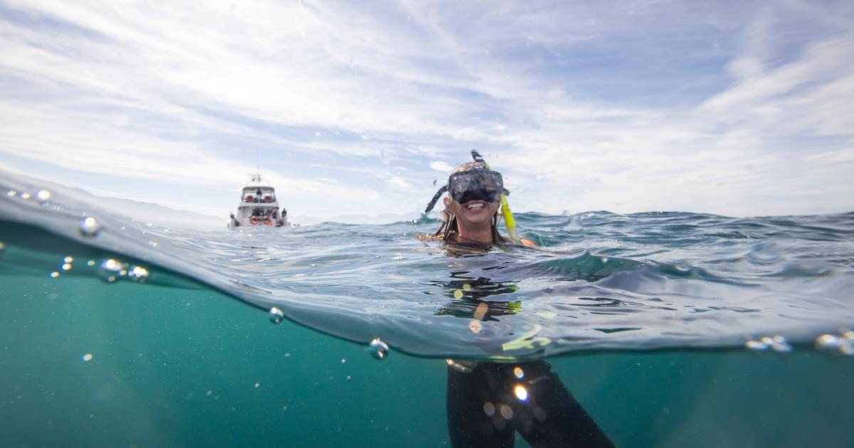 Border Update New Zealand air and maritime borders open Travel Trade