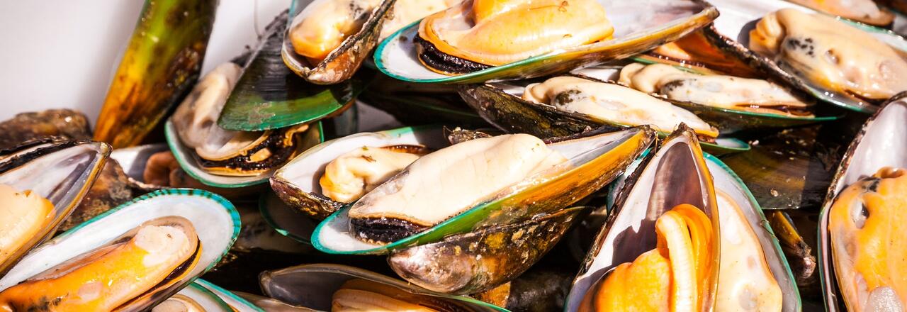 Havelock Mussel Seafood Festival, Marlborough