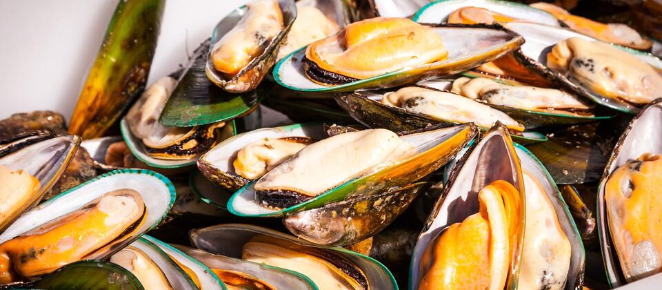 Havelock Mussel Seafood Festival, Marlborough