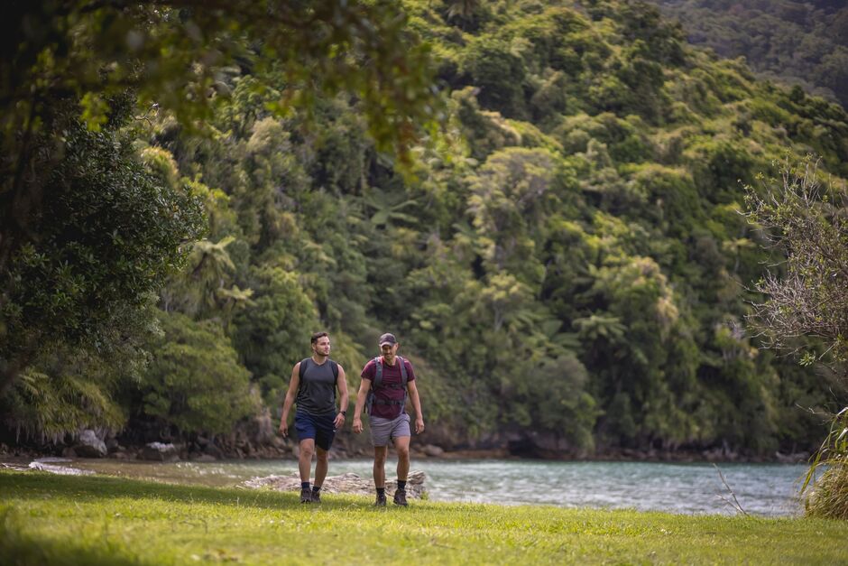Queen Charlotte Track, Marlborough