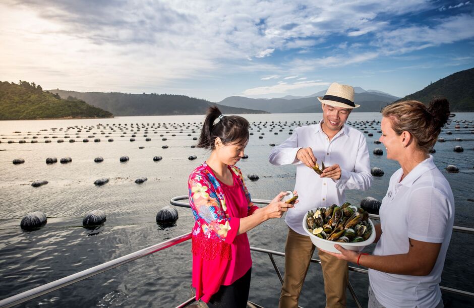 Seafood Odyssea Cruise, Marlborough