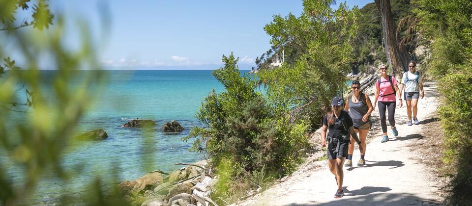 Wilson’s Walk, Abel Tasman National Park