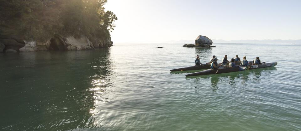 Waka Abel Tasman, Nelson Tasman