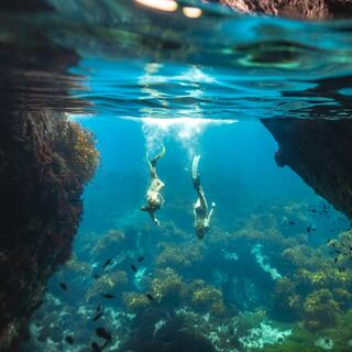 Poor Knights Island, Northland