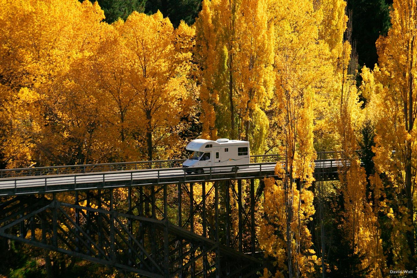 Autumn colours near Arrowtown, Otago region