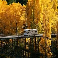 Autumn colours near Arrowtown, Otago region