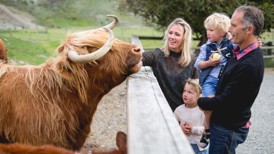 RealNZ Farm Tour & Afternoon Tea 