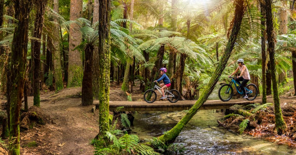 Travel Trade S Guide To Top New Zealand Tourism Operators Travel Trade Travel Trade S Guide To Top New Zealand Tourism Operators Travel Trade