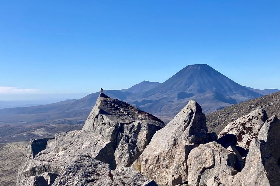 Meads Wall, Ruapehu