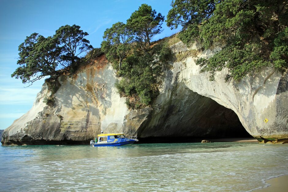 Cathedral Cove, The Coromandel