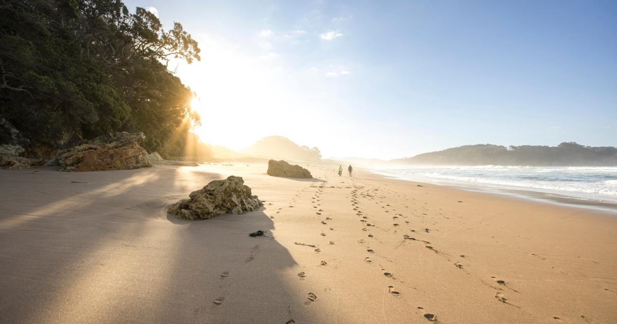 Explore New Zealand Discount Programme Terms & Conditions | Travel Trade