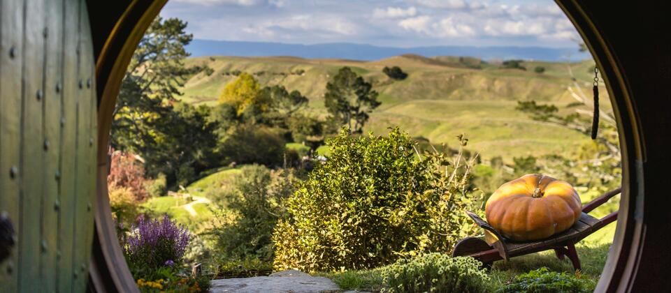Hobbiton Movie Set