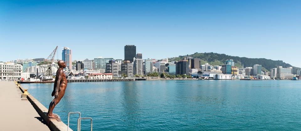 Wellington Harbour