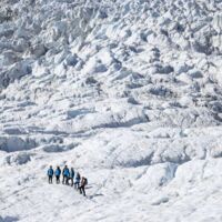 Fox Glacier Guiding, West Coast
