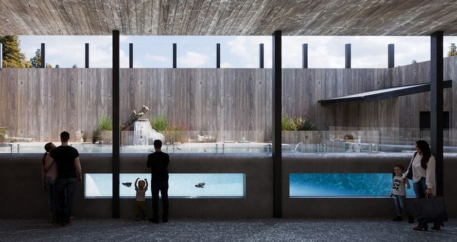 West Coast Wildlife Centre, artist impression penguin enclosure