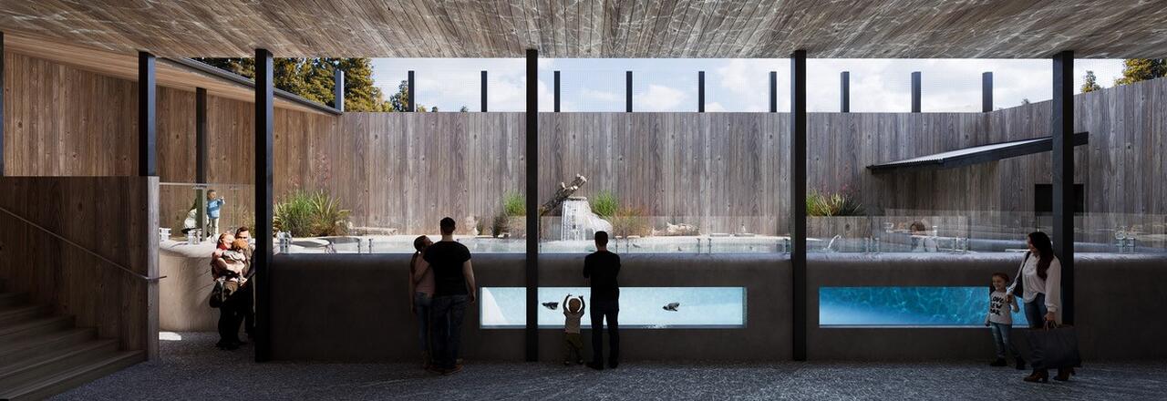West Coast Wildlife Centre, artist impression penguin enclosure
