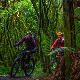 Ohakune Old Coach Road