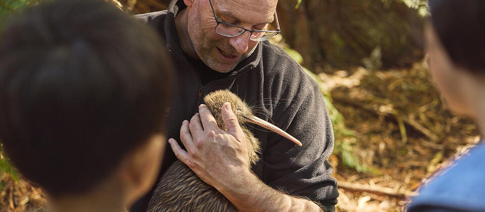 Otorohanga Kiwi House, Waitomo