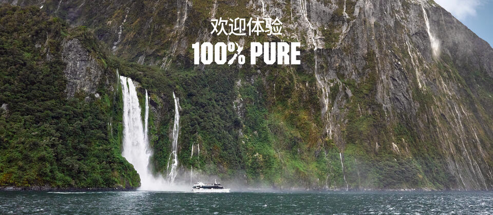 Cruising Milford Sound