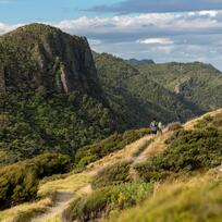 waitakere ranges auckland 