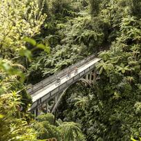 Whanganui National Park 