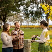 Cloudy Bay Winery, Marlborough