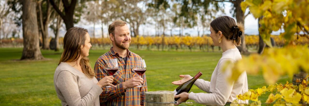 Cloudy Bay Winery, Marlborough