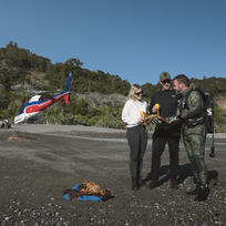 Fiordland Lodge Heli and Long Lunch