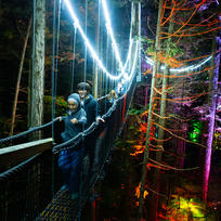 Redwoods Nightlights, Rotorua