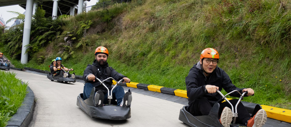 Skyline Rotorua Luge