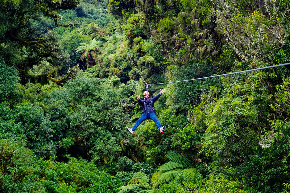 Rotorua Canopy Tours