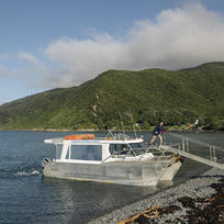 Kapiti Island Nature Tour Boat