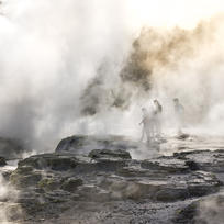 Te Puia Geyser